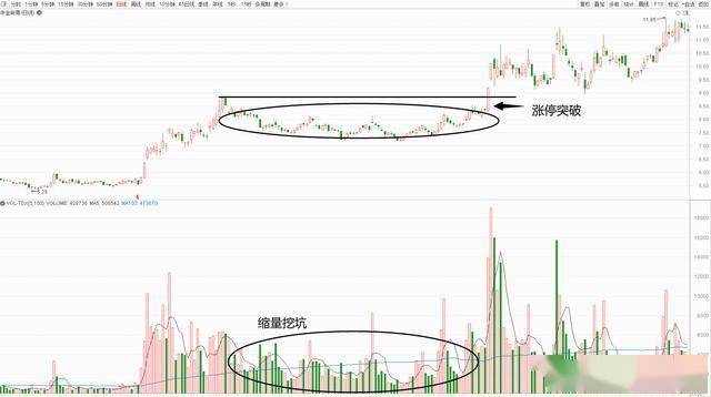 上海财经女博士坦言:炒股多年来只炒两种股票,让自己盆满钵满!