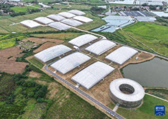 “植物工厂”里看丰收智慧