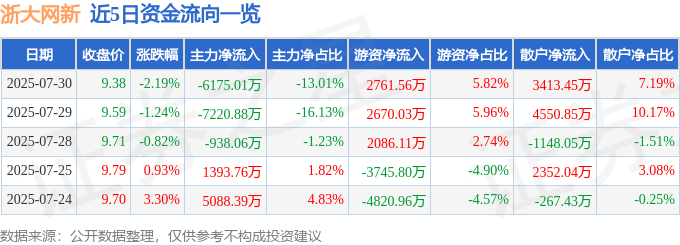 股票行情快报:浙大网新(600797)7月30日主力资金净卖出6175.01万元