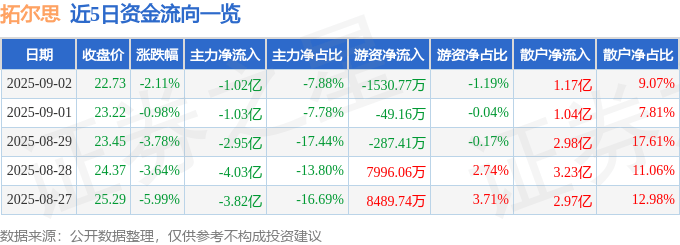 股票行情快报：拓尔思（300229）9月2日主力资金净卖出1.02亿元