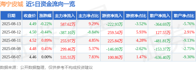 股票行情快报：海宁皮城（002344）8月13日主力资金净买入587.62万元
