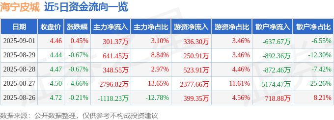 股票行情快报：海宁皮城（002344）9月1日主力资金净买入301.37万元