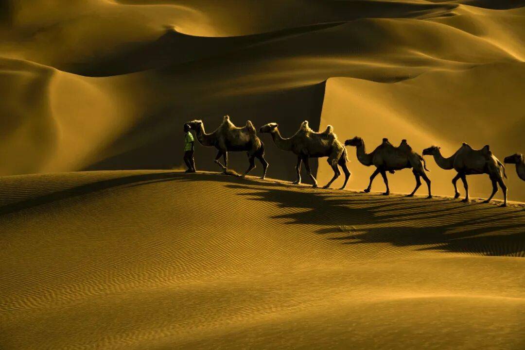 阿拉伯数字,竟然不是阿拉伯人发明的?那到底是谁?