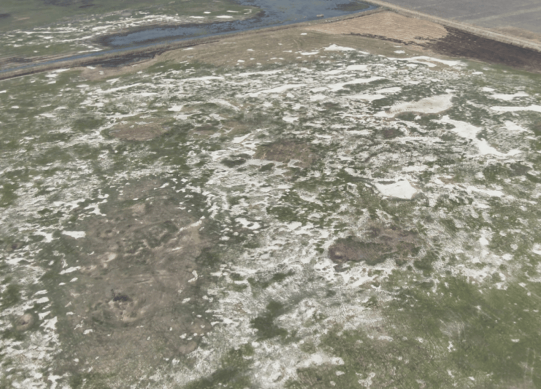 中央生态环保督察组：齐齐哈尔湿地破坏严重 人为造成湿地减少2700余亩